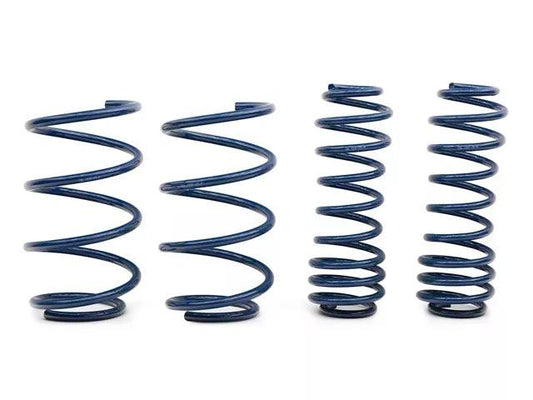 C&L Drag Spec Lowering Springs - Mullet Racing Performance