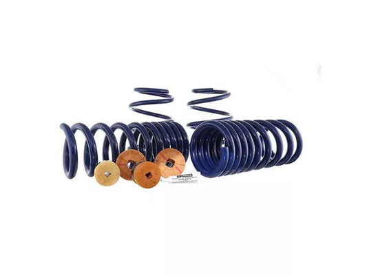 Ford Performance Track Lowering Springs - Mullet Racing Performance