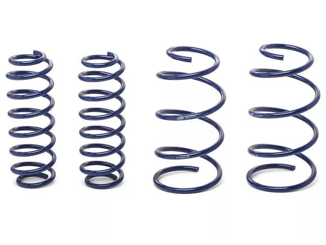 Ford Performance 2013 Cobra Jet Drag Spring Kit - Mullet Racing Performance