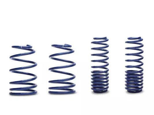 Ford Performance Lowering Springs - Mullet Racing Performance