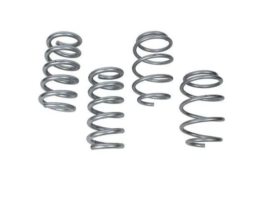 J&M Minimal Drop Sport Lowering Springs - Mullet Racing Performance